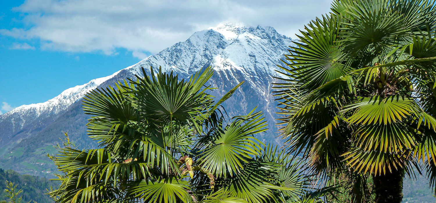 Innsbruck Private Tours